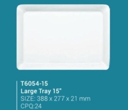 Picture of T6054-15 Large Tray Assorted  (SF24)