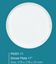 Picture of P6201-11  Moonart Platter 11"
